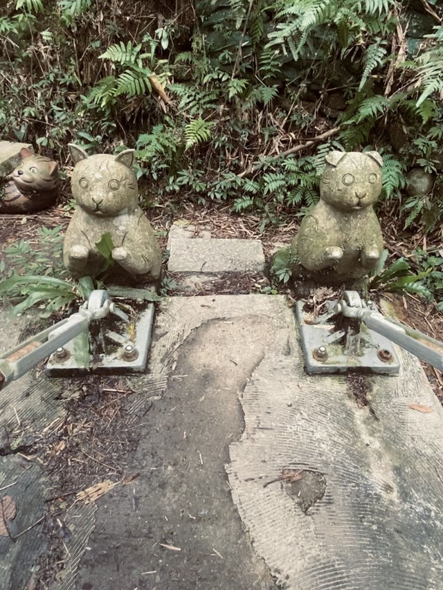 宛如走進宮崎駿的縮小版森林