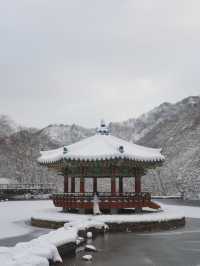 진짜 등산 1도 없이 만날 수 있는 눈 내린 겨울 설산🏔️❄