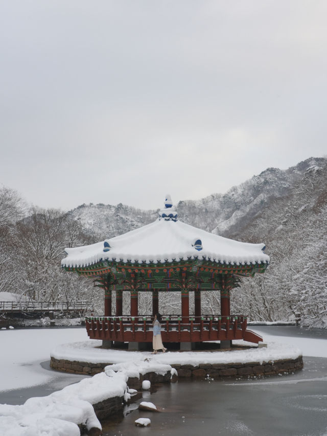 진짜 등산 1도 없이 만날 수 있는 눈 내린 겨울 설산🏔️❄