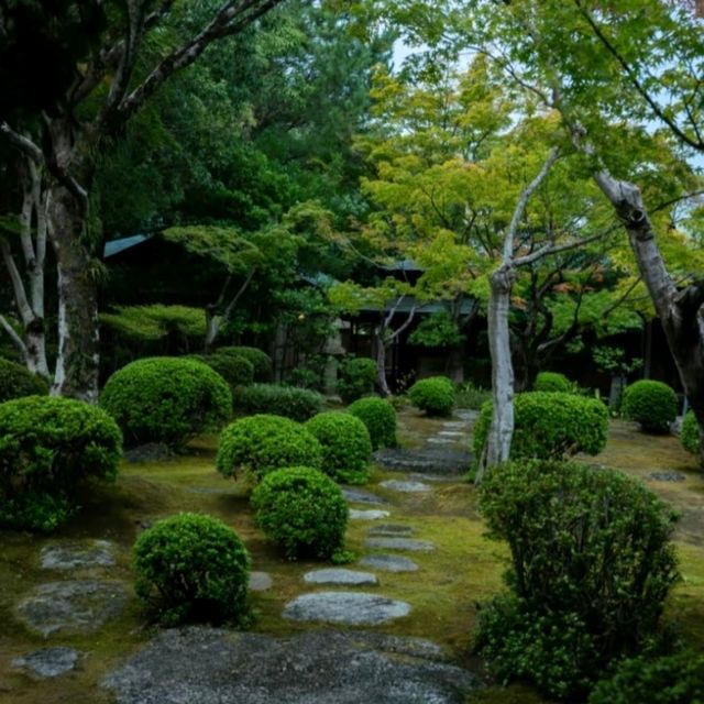 大濠公園：划船遇見西湖的倒影