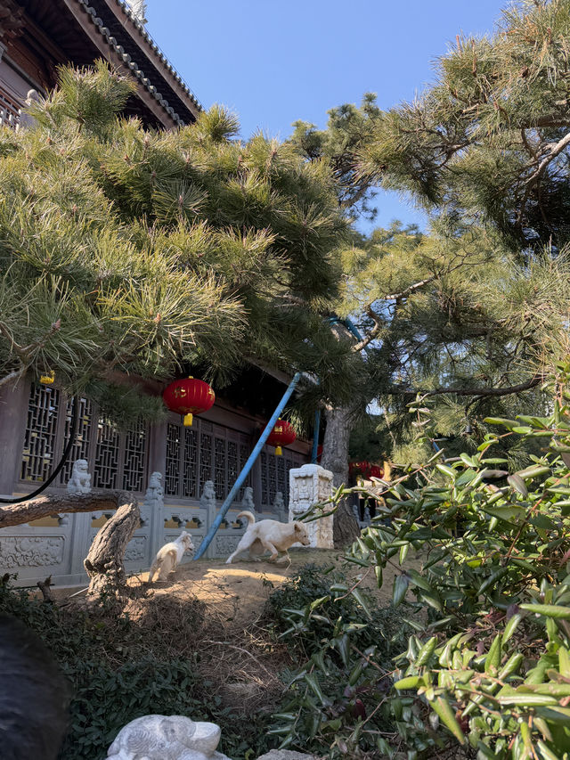 Longhua Temple