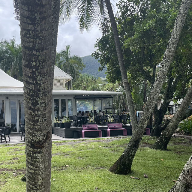 【オーストラリア】静かな楽園！癒しのビーチリゾート・パームコーブ 🏝️🌿