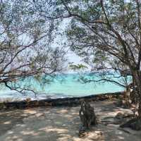 อยากพักใจอยู่กับคนรักให้ไป“เกาะหมาก” 🏝️🩵