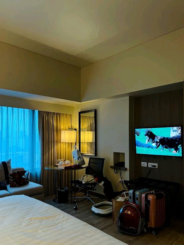 A Pet-Friendly Staycation To Remember