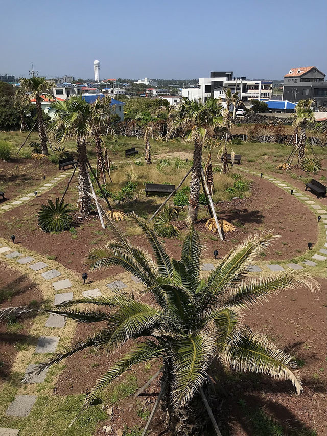 야자수🌴+오션뷰🌊 =경치 좋은 제주 카페 아오오