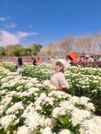 สวนวิลาวัณย์-วังน้ำเขียว Wilawan garden