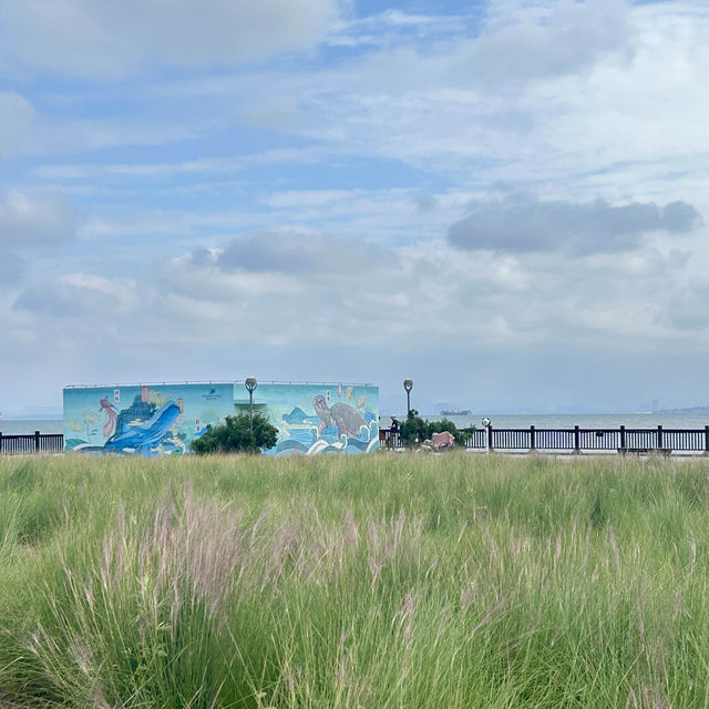 Exploring Yantai: A Coastal Gem in Shandong province 