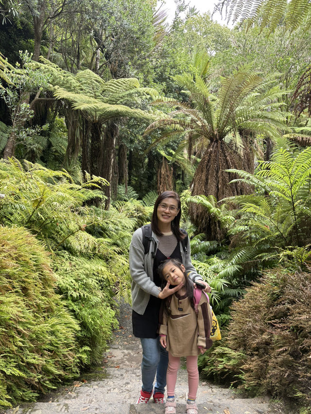紐西蘭🇳🇿奧克蘭 城市之肺 中央溫室花園 繽紛綻放的花朵讓人心曠神怡！