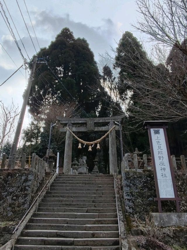幽靜樹林裡簡樸的上色見熊野座神社