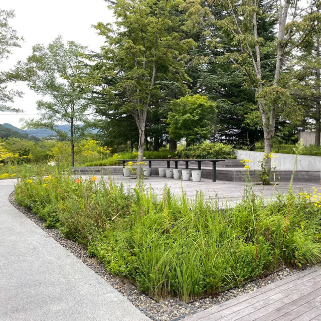 世貿公園🌳悠閒綠洲