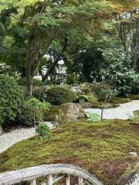  【神奈川県　鎌倉市の浄妙寺で耳を澄まし鳥のお喋りと水の音色を受け取る】 