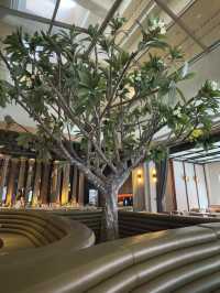 Beautiful RAW restaurant 