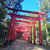 Echoes of Samurai: Exploring Shiroyama Hachimangu Shrine 🇯🇵