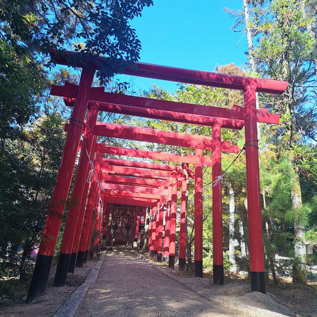 Echoes of Samurai: Exploring Shiroyama Hachimangu Shrine 🇯🇵
