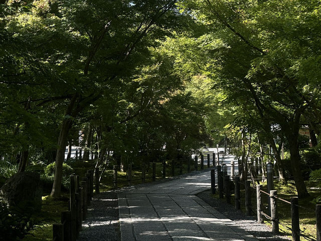 A Tranquil Stroll Through Eikando: Kyoto’s Hidden Gem
