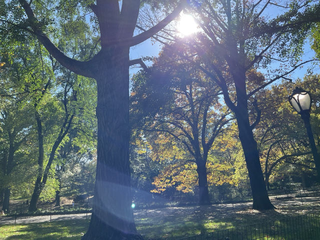 紐約中央公園Central Park——繁忙都市中的世外桃源