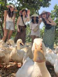 Become a Duck Leader in Phong Nha