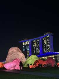 I Light Singapore, a popular annual event showcasing light art installation