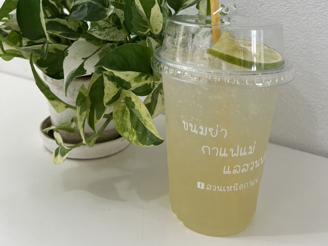 สวนเหนือกาแฟ อ.สามเงา จ.ตาก
