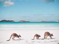 Esperance (Lucky Bay)