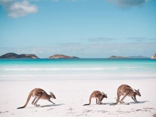 Esperance (Lucky Bay)