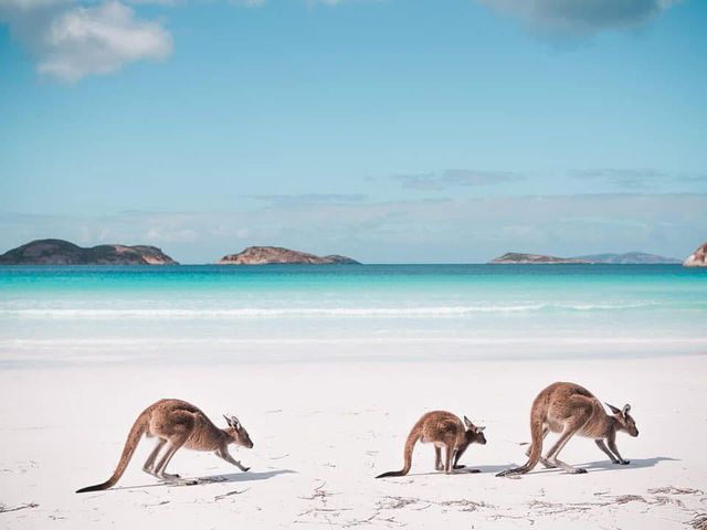 Esperance (Lucky Bay)
