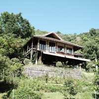 ที่พัก Mori Natural Farm เชียงใหม่
