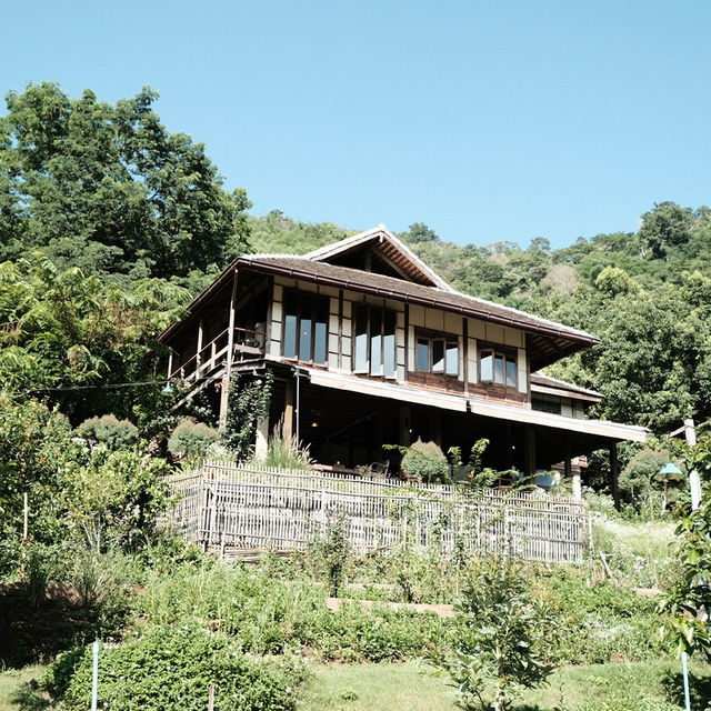 ที่พัก Mori Natural Farm เชียงใหม่