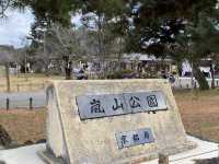 嵐山公園三月份嘅特別風情