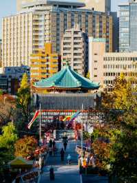 東京-上野公園走走