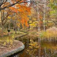 Sapporo Art Park