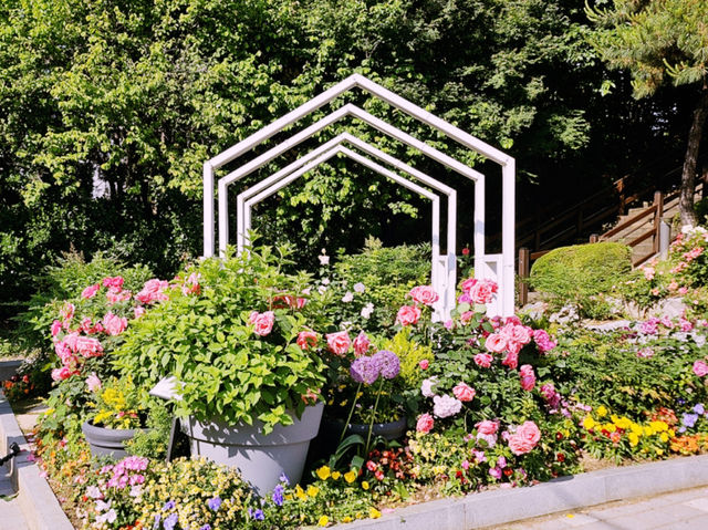 Jungnang Rose Park Rose Festival Review