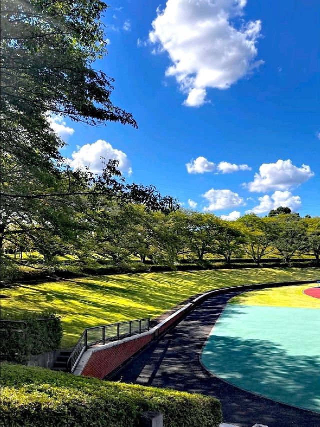 秋留台公園