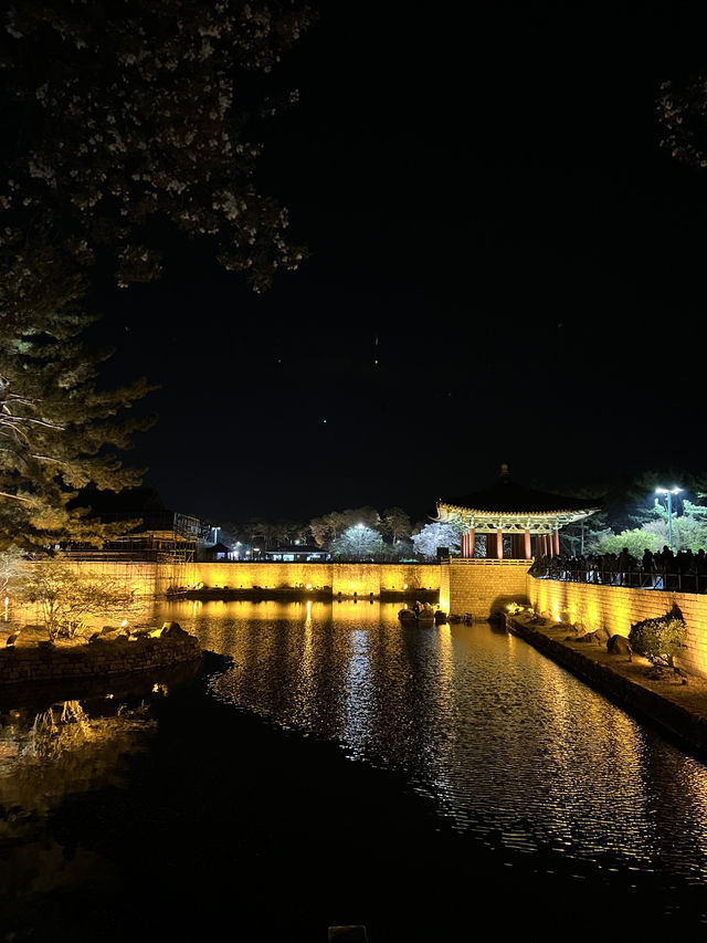 경주 벚꽃 여행 2박 3일 여행 1일차