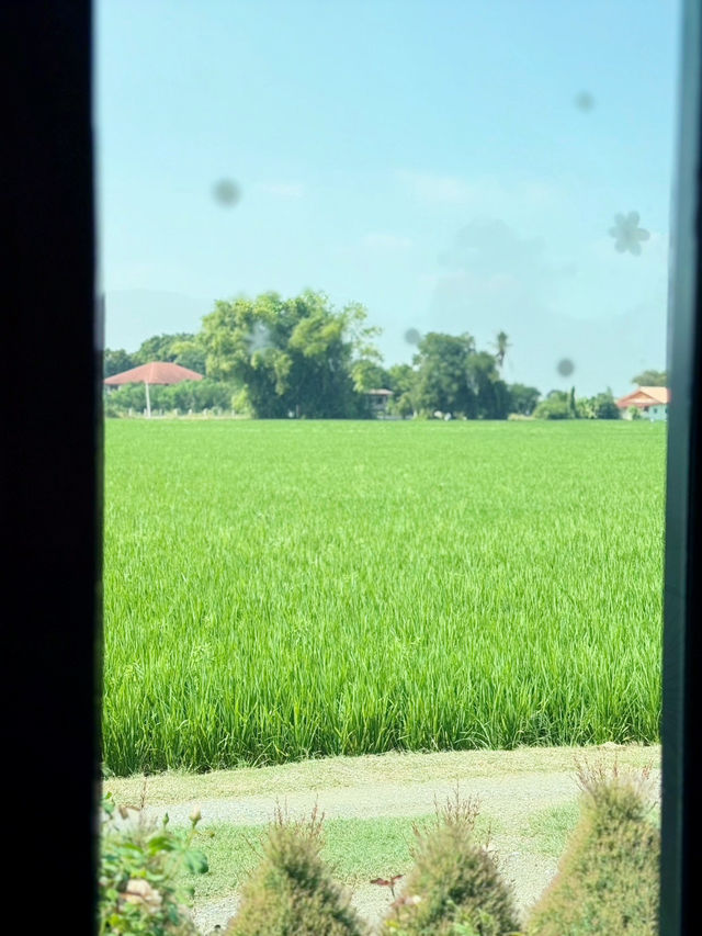 คาเฟ่บรรยากาศดีริมทุ่งนา ครัวซองส์ไส้อั่วอร่อย