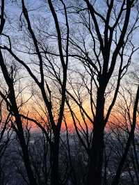 Sunset & City Lights: A Perfect Moment at N Seoul Tower 🌇