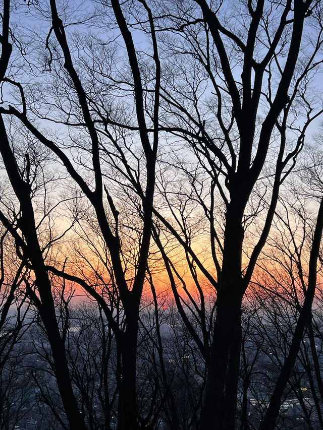 Sunset & City Lights: A Perfect Moment at N Seoul Tower 🌇
