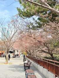 釜山｜迎月路粉色浪漫散步道 臥牛山的浪漫故事