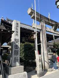 博多櫛田神社開季賞樱🌸