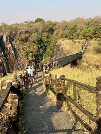 Spring Trip to Victoria Falls🌳
