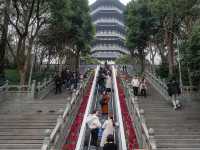 “Hangzhou 1 day trip”