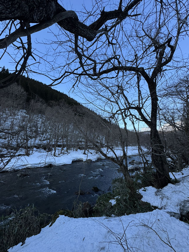 享受冬季尾聲的奧入瀨溪流 — 寧靜美