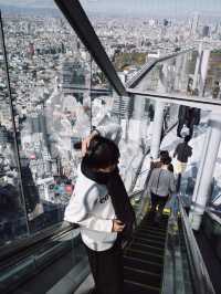Shibuya Sky โตเกียว 360° แบบตะโกน