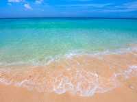 Enjoy your time @ Brighton Beaches: A day full of joy and happiness!