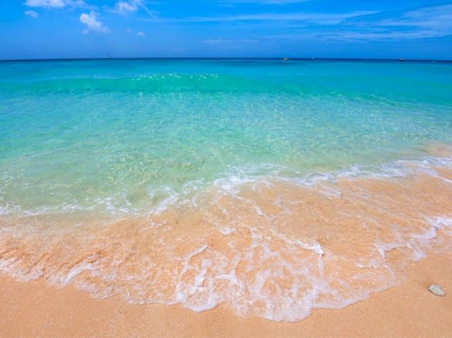Enjoy your time @ Brighton Beaches: A day full of joy and happiness!