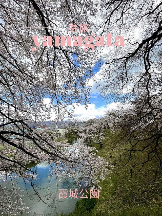 【山形×春旅】 お堀に映し出される桜が幻想的🥰