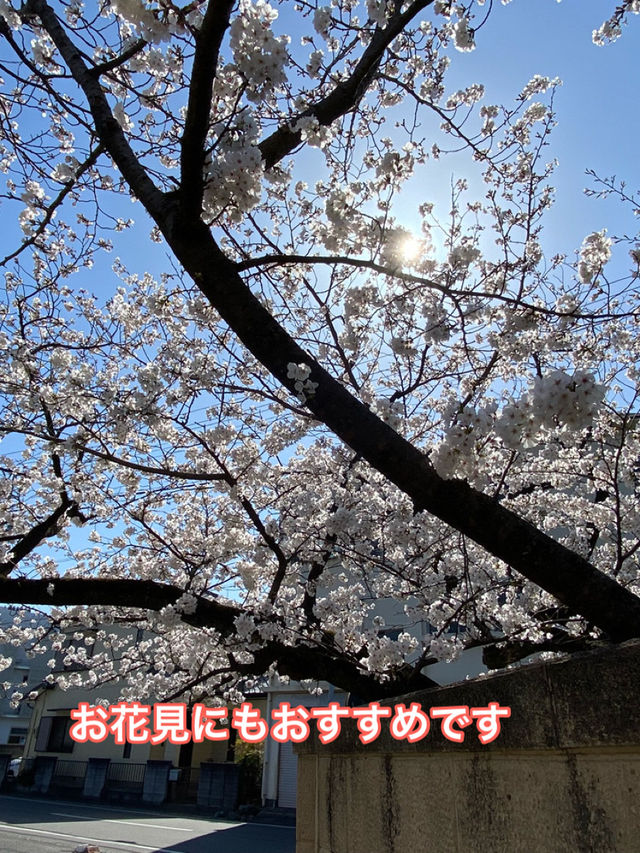 知多四国霊場巡り　第20番礼所　龍台院