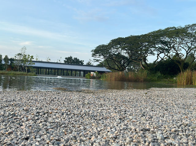 Wandering Through Stillness: A Solo Day at the Chinese and Japanese Gardens in Singapore