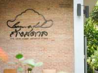 คาเฟ่ในสวนมะพร้าว ที่ Gansdal Amphawa 