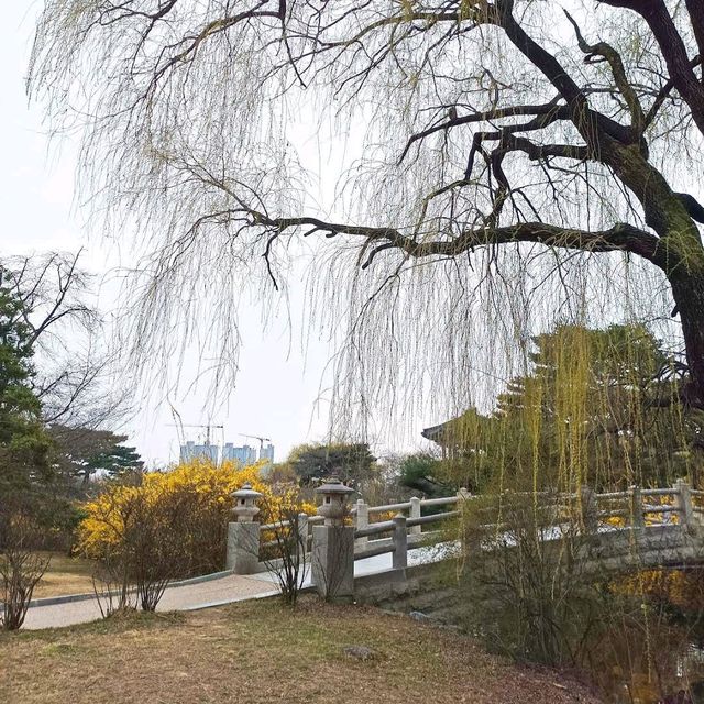 Ilsan Lake Park – A City Retreat in Full Bloom